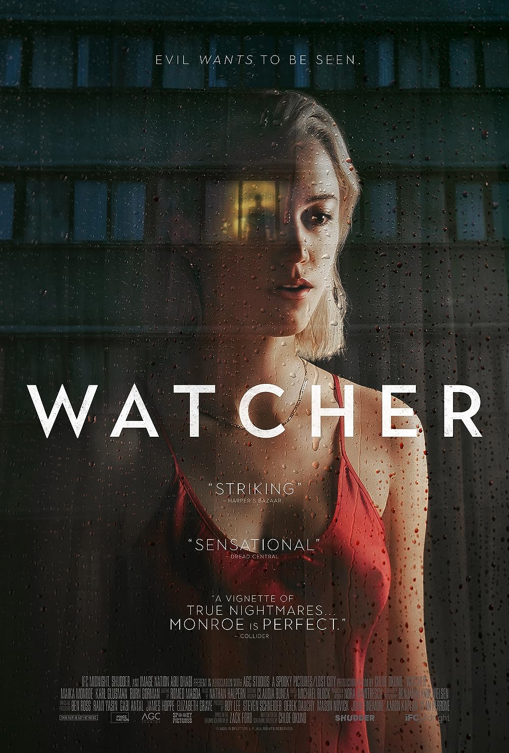 постер Watcher